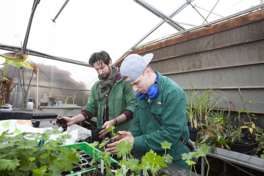 Garten- und Landschaftspflege