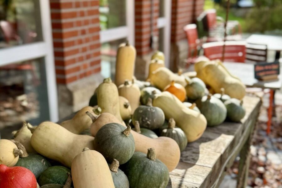 Café LebensArt in Holtensen: Kürbiswoche vom 21. bis 25. Oktober