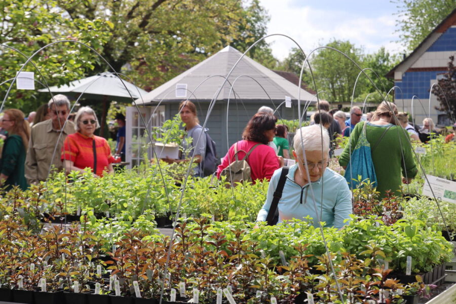 Von Stauden bis Miniaturbauernhof – Gärtnerei LebensGrün feiert Gartenfest in Holtensen