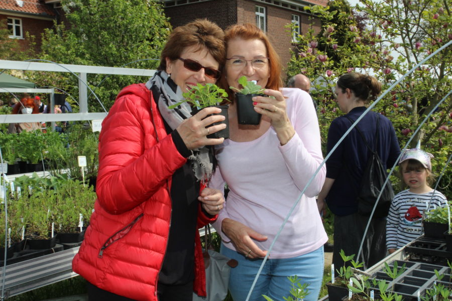 Gartenfest am 6. Mai: Gärtnerei LebensGrün startet in die Saison
